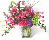 Fushia Happiness